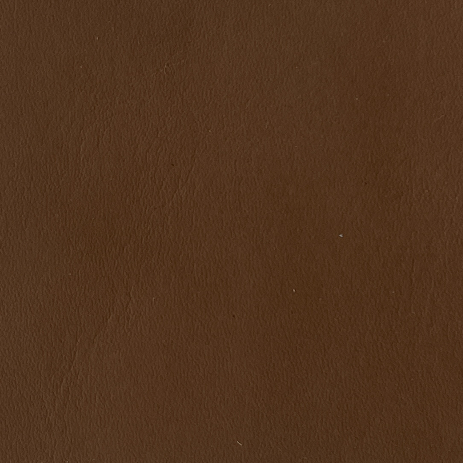 leather swatch - camel