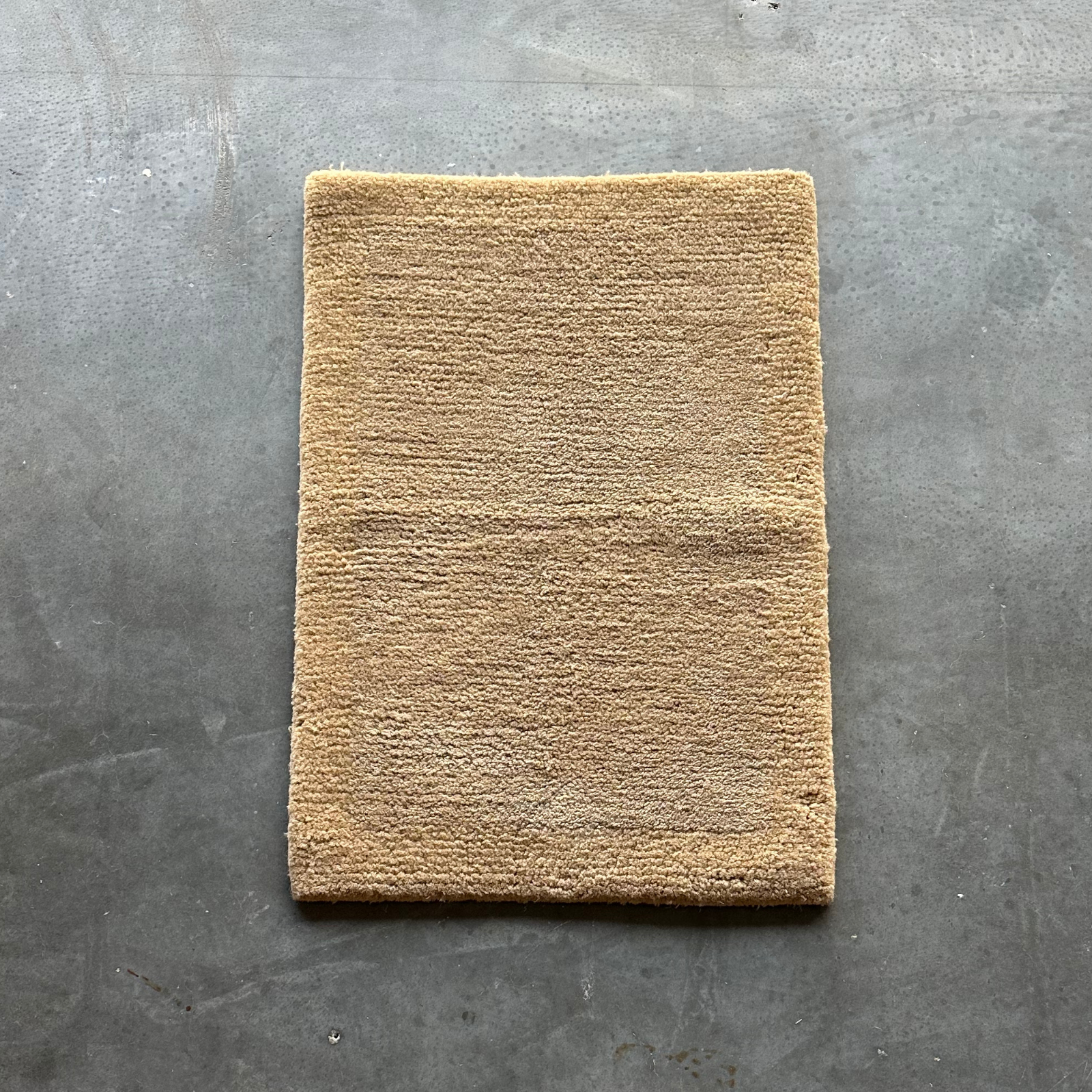 NEW! sophia in wheat