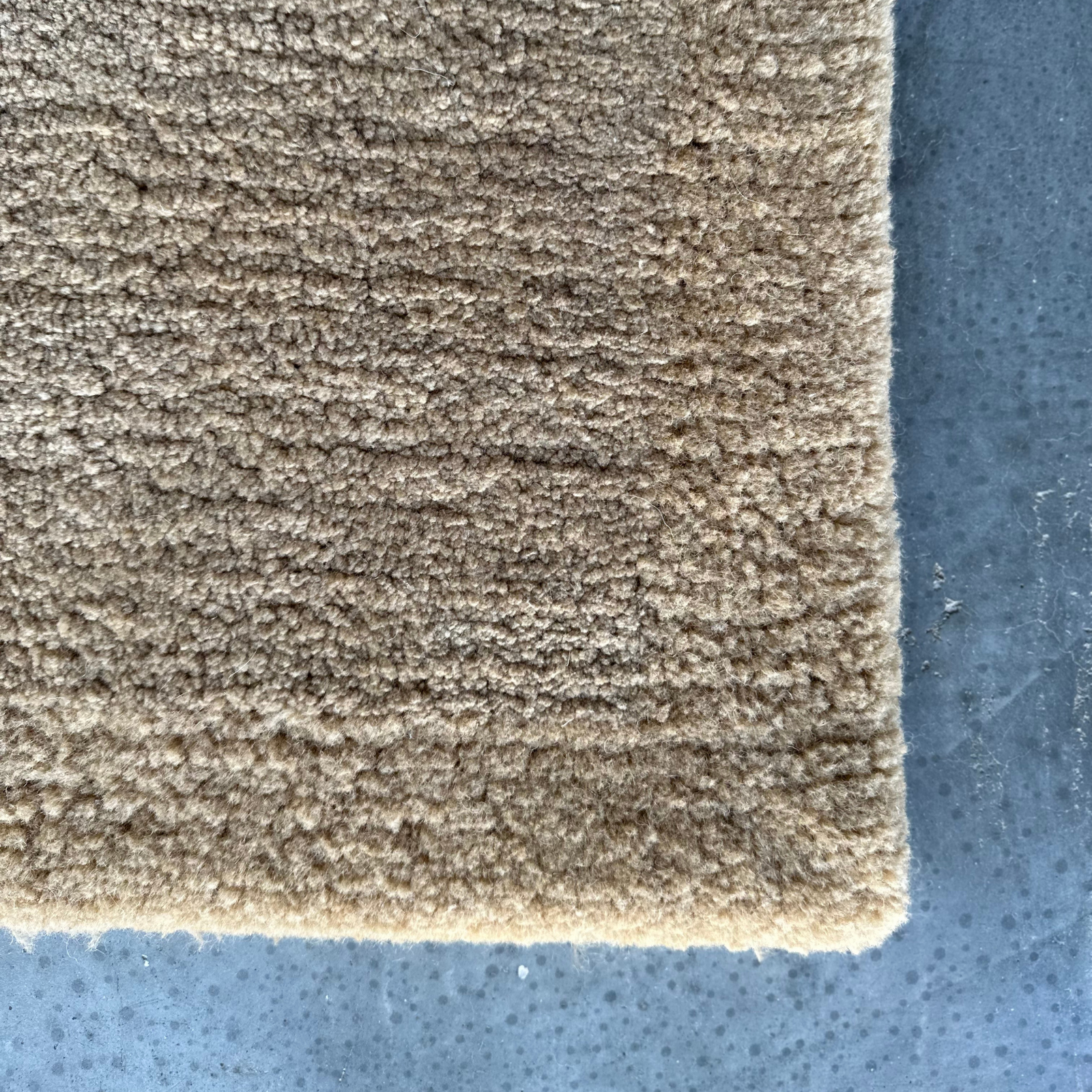 NEW! sophia in wheat