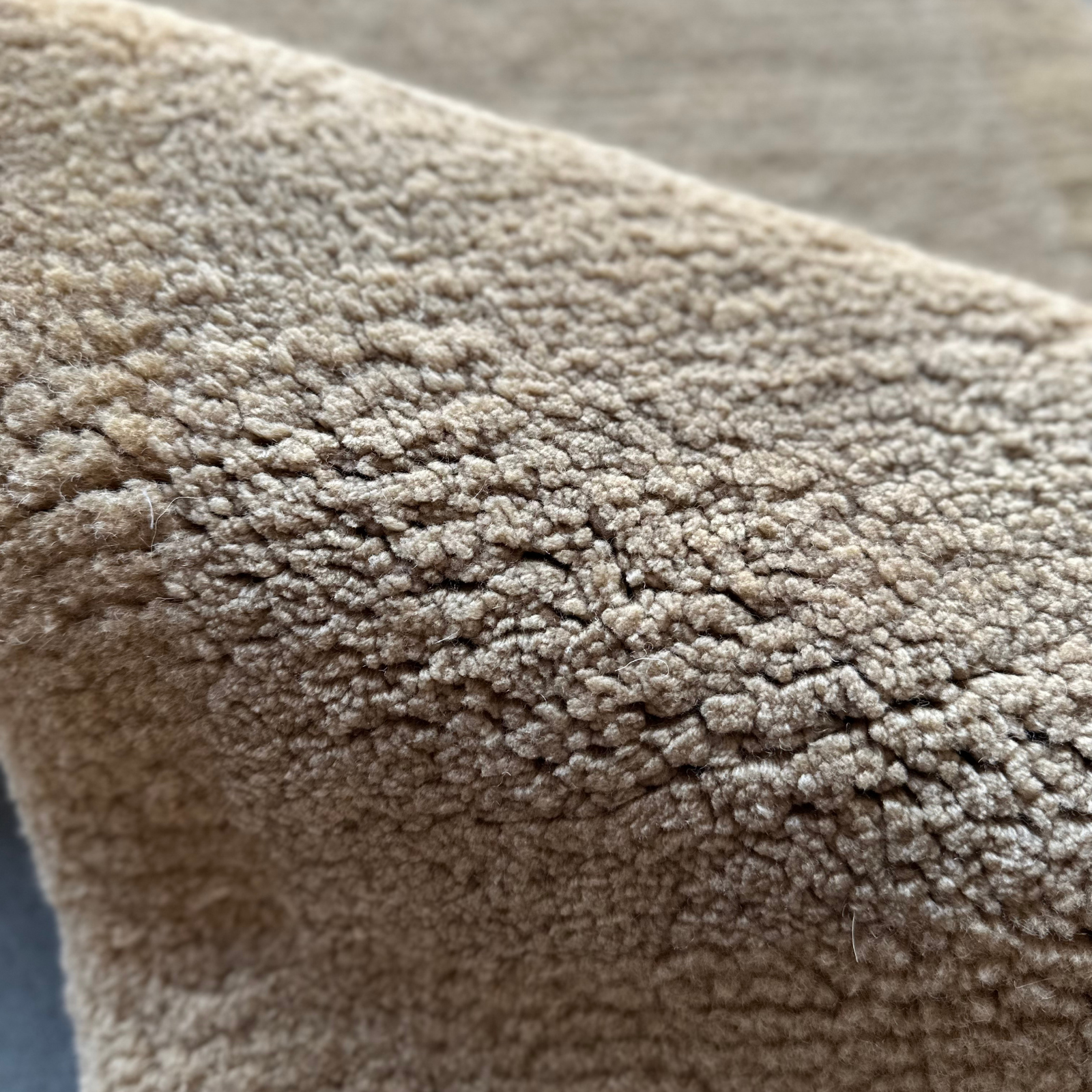 NEW! sophia in wheat