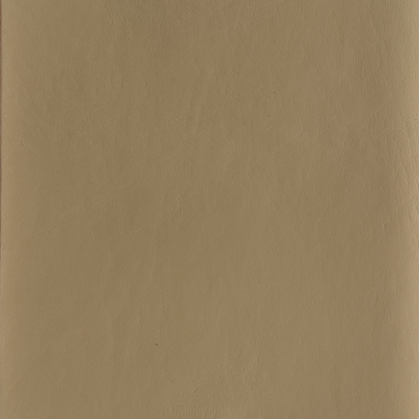 leather swatch - bone