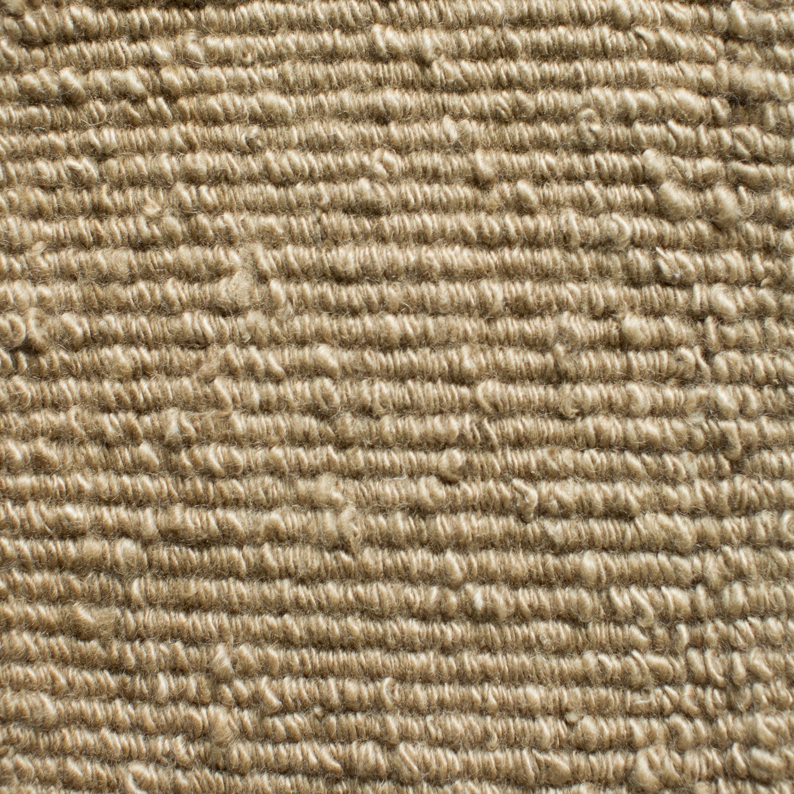 dominique rug carmel