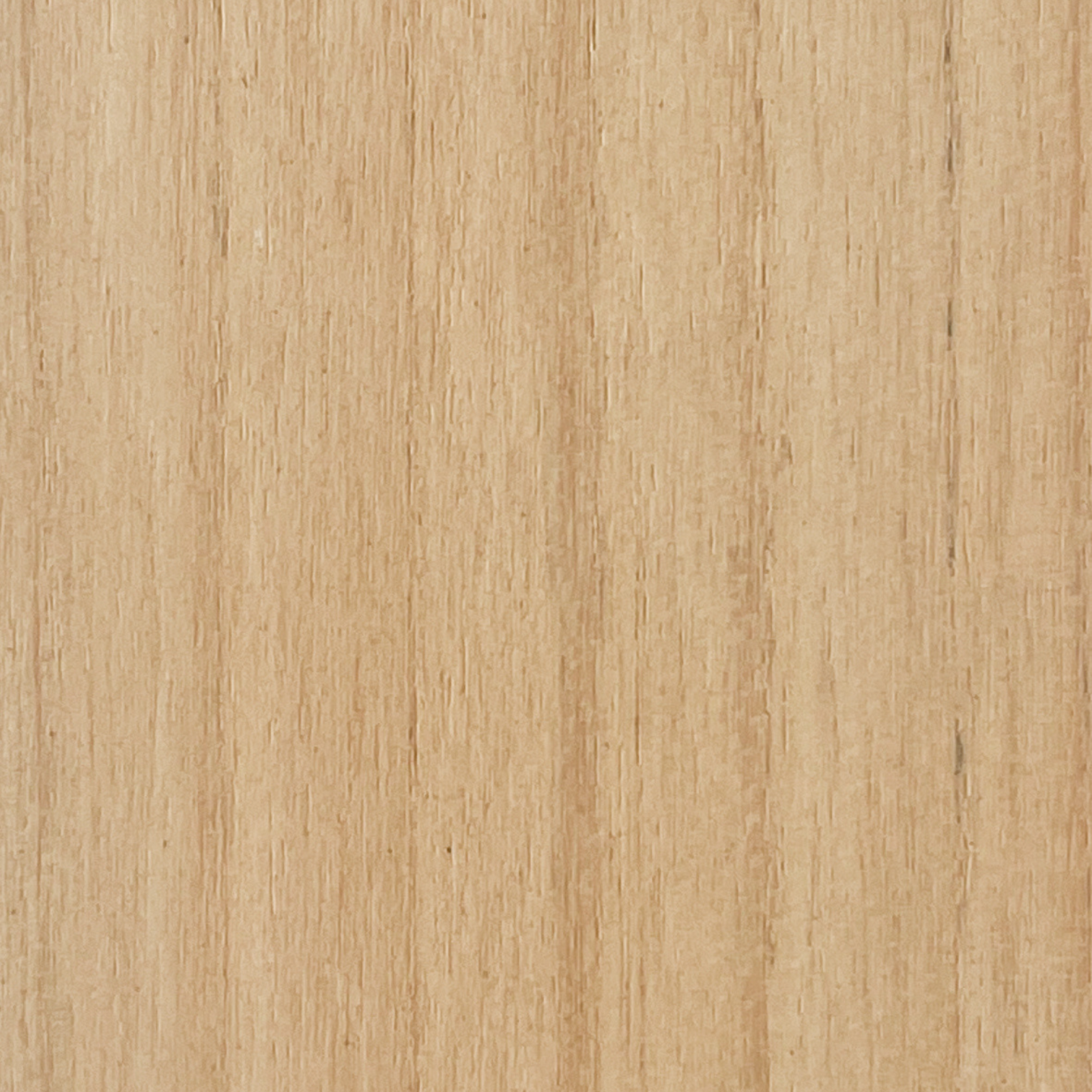 sungkai wood swatch - natural