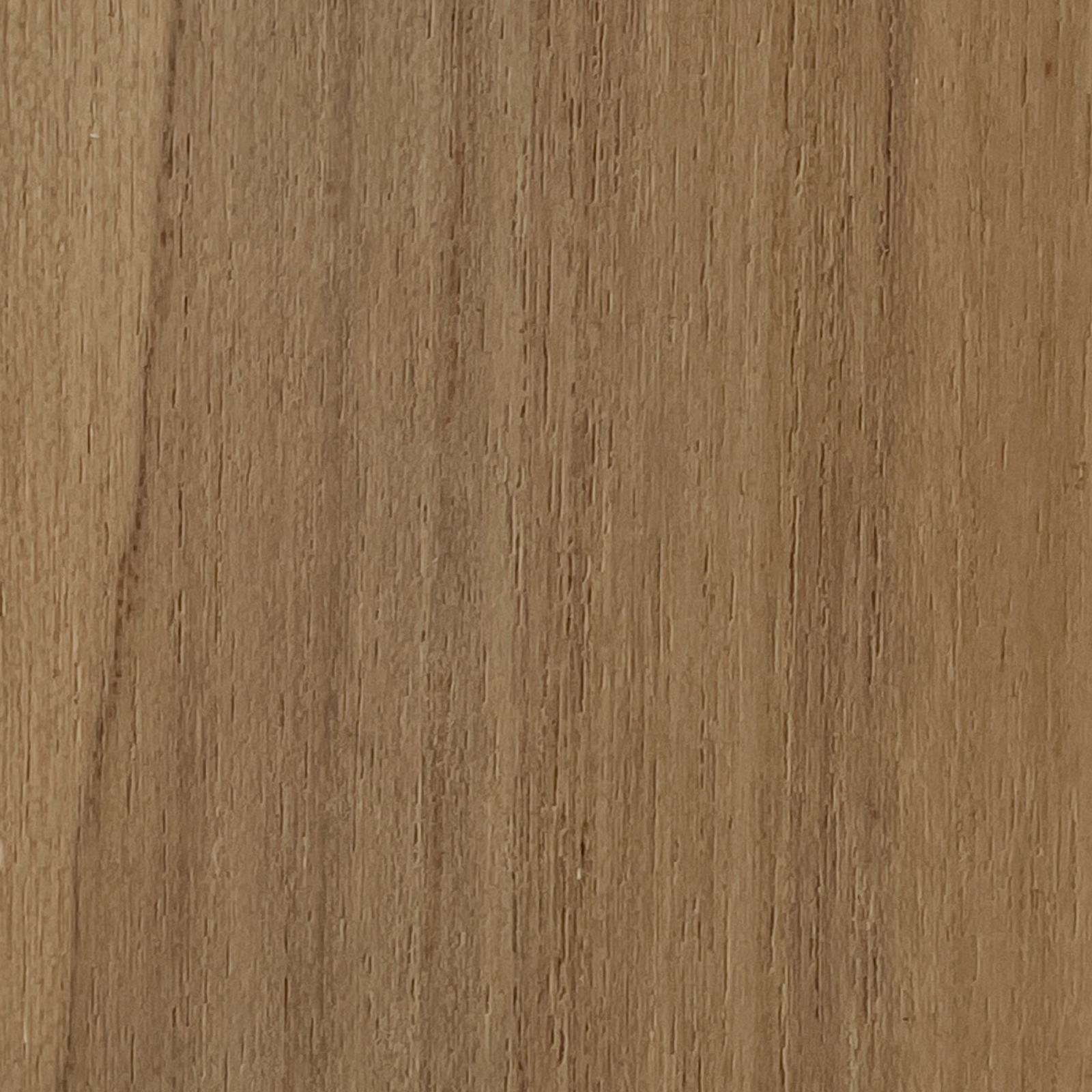teak wood swatch - natural